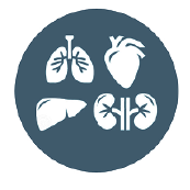 Screen Shot 2024-09-05 at 4.21.19 PM